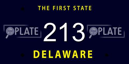 213 Delaware License Plate