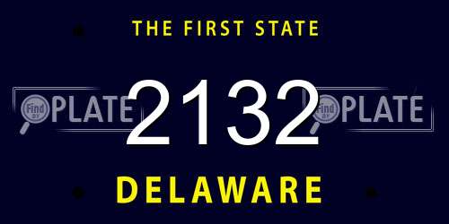 2132 Delaware License Plate