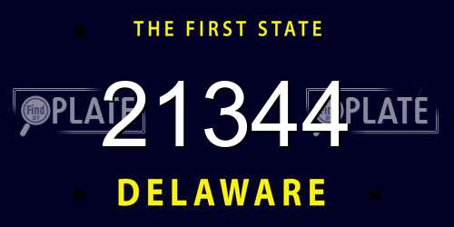 21344 Delaware License Plate