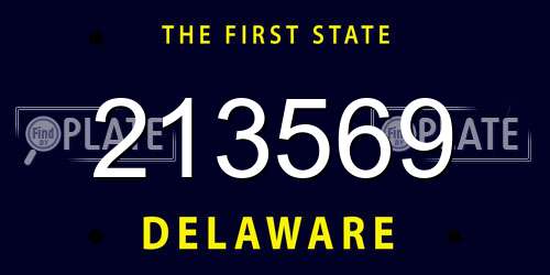 213569 Delaware License Plate