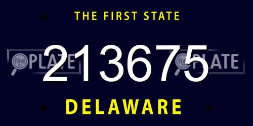 213675 Delaware License Plate