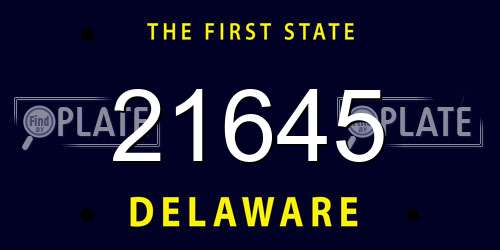 21645 Delaware License Plate