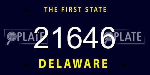 21646 Delaware License Plate