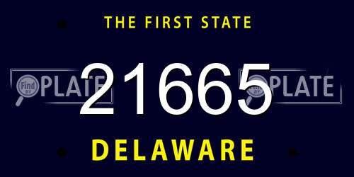 21665 Delaware License Plate