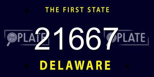 21667 Delaware License Plate