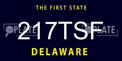 217TSF Delaware License Plate