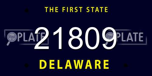 21809 Delaware License Plate