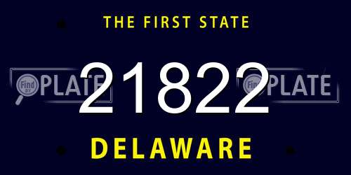 21822 Delaware License Plate