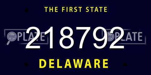 218792 Delaware License Plate