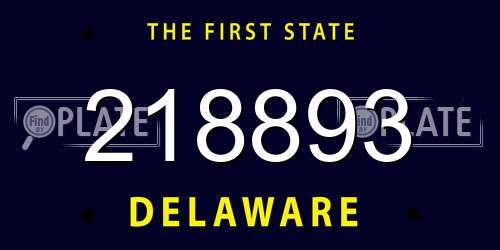 218893 Delaware License Plate