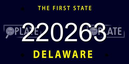 220263 Delaware License Plate