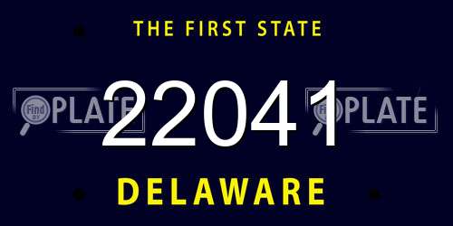 22041 Delaware License Plate