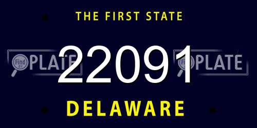 22091 Delaware License Plate
