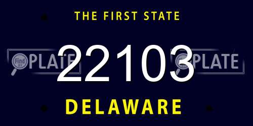 22103 Delaware License Plate