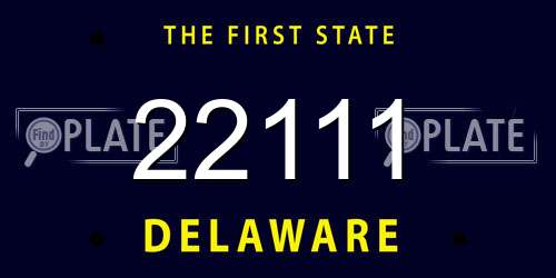 22111 Delaware License Plate