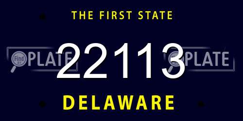 22113 Delaware License Plate
