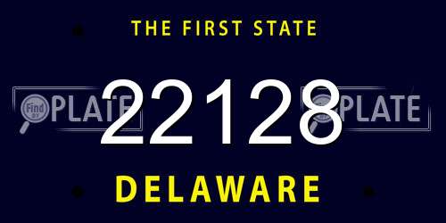 22128 Delaware License Plate