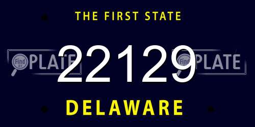 22129 Delaware License Plate