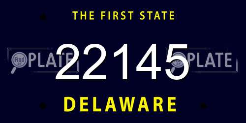 22145 Delaware License Plate