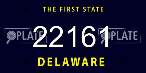 22161 Delaware License Plate