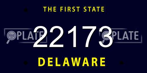 22173 Delaware License Plate