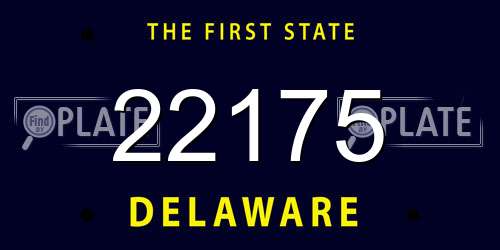 22175 Delaware License Plate
