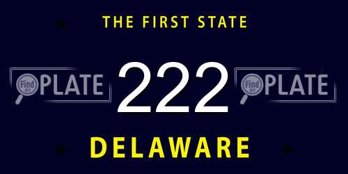 222 Delaware License Plate