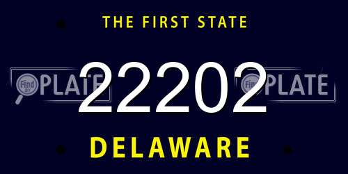 22202 Delaware License Plate