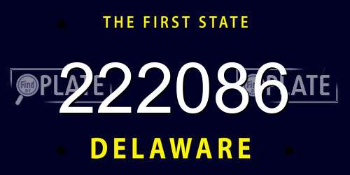 222086 Delaware License Plate