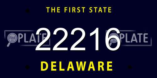 22216 Delaware License Plate