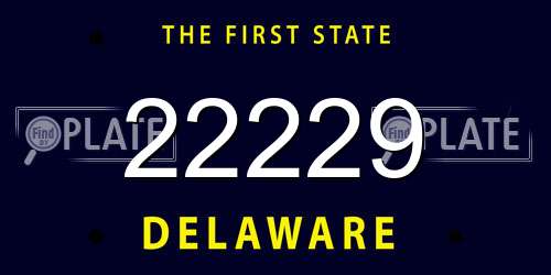 22229 Delaware License Plate