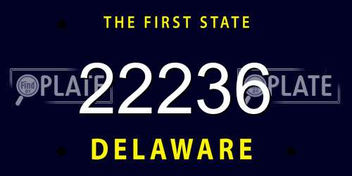 22236 Delaware License Plate