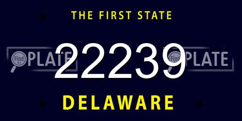 22239 Delaware License Plate