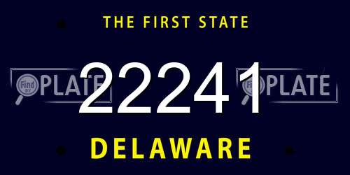 22241 Delaware License Plate