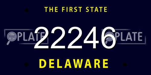 22246 Delaware License Plate