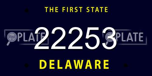 22253 Delaware License Plate