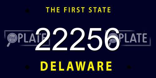 22256 Delaware License Plate