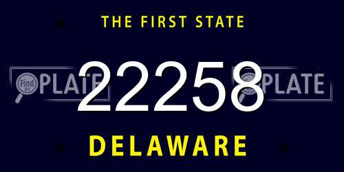 22258 Delaware License Plate