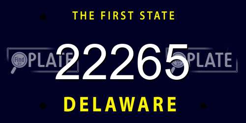 22265 Delaware License Plate