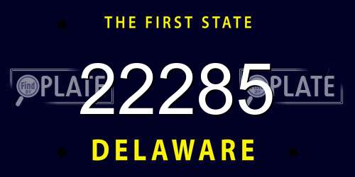 22285 Delaware License Plate
