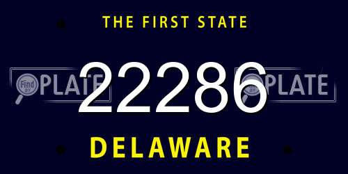 22286 Delaware License Plate