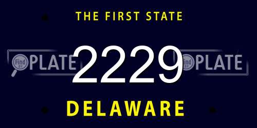 2229 Delaware License Plate
