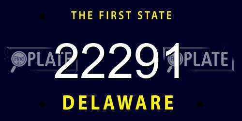 22291 Delaware License Plate