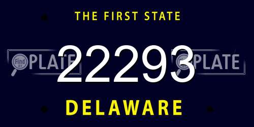 22293 Delaware License Plate