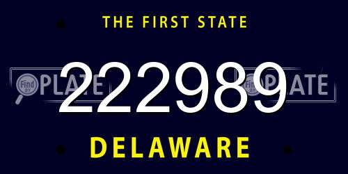 222989 Delaware License Plate