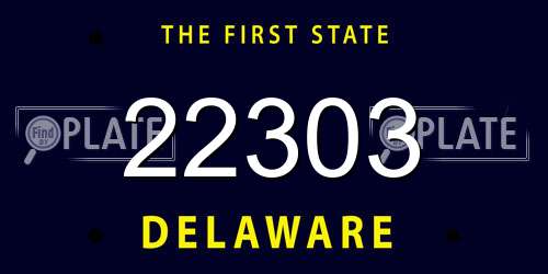 22303 Delaware License Plate