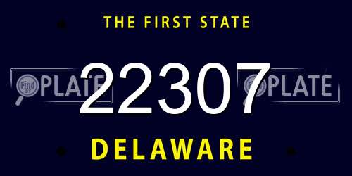 22307 Delaware License Plate