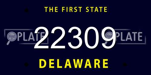 22309 Delaware License Plate