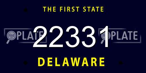 22331 Delaware License Plate