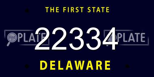 22334 Delaware License Plate